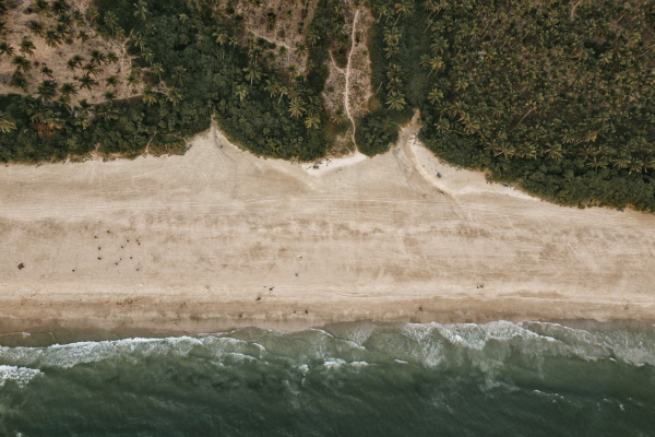 Goa